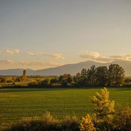 Polymnia Апартаменты *